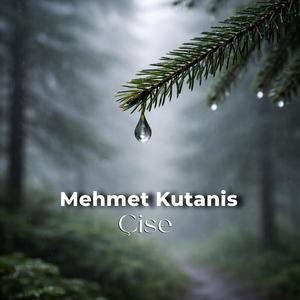 Çise