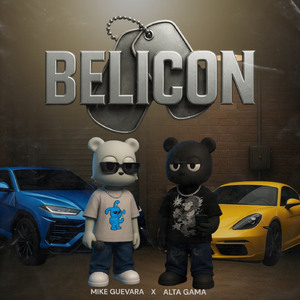 BELICON