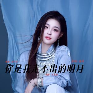 你是我走不出的明月