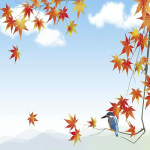 午後の風に吹かれて