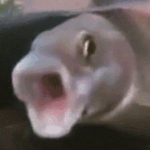 [free]烤烤烤鰍串串串