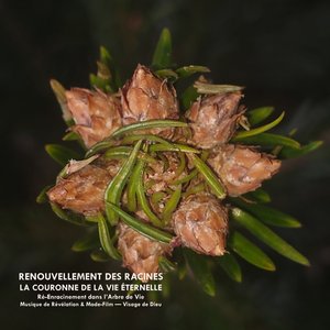 Renouvellement Des Racines - La Couronne De La Vie Éternelle - Ré-Enracinement Dans L'arbre De Vie Musique De Révélation & Mode-Film — Visage De Dieu