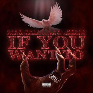 If You Want To (feat. Levar Fletcher Aka Boy Big & Sheisty Po)
