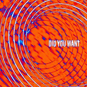 Did You Want