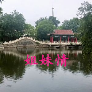 姐妹情