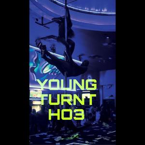 Young Turnt hoe (feat. Havvin keem)