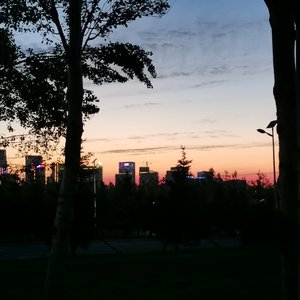 万分之一的奇迹