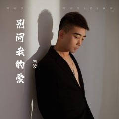 别问我的爱 (阿波版)