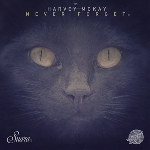 Stolen Forest (Original Mix)