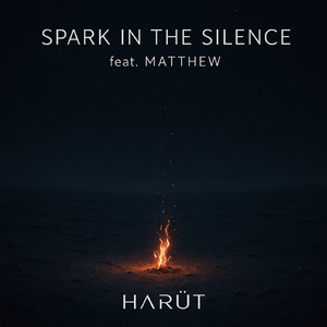 Spark in the Silence (feat. MATTHEW)