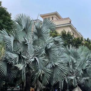 Symphony（DJ Patrick Remix）