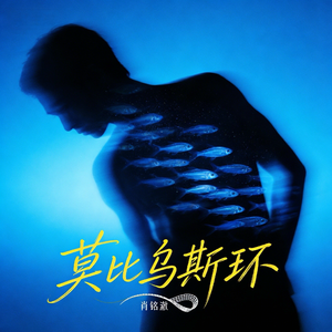 莫比乌斯环