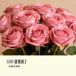 520 就要到了