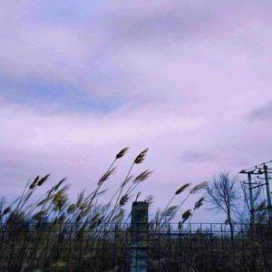 五月一日_20220501_132300