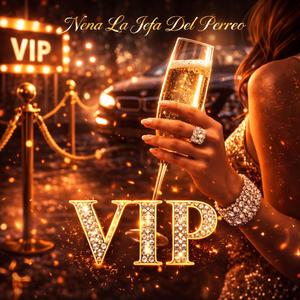 vip