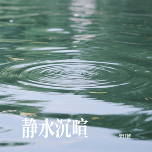 静水沉喧