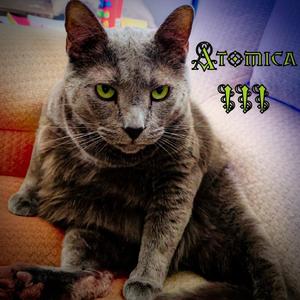 Bloody Hills O'er Yonder