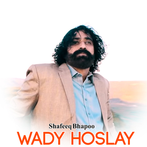 wady hoslay