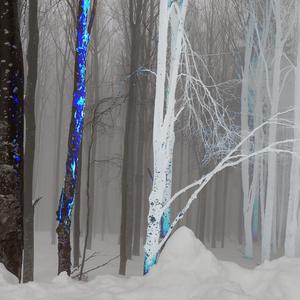 Momentum (feat. Vrillton)