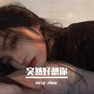 丢了幸福的猪-DJ