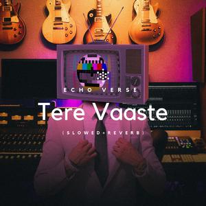 Tere Vaaste (Slowed+Reverb)