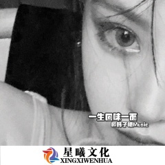 我的爱只能够让你一个人独自拥有 (DJ版)