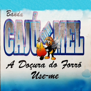 Vaqueiro Bom de Gado