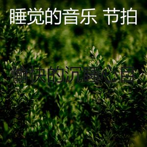 柔和的沉睡时刻