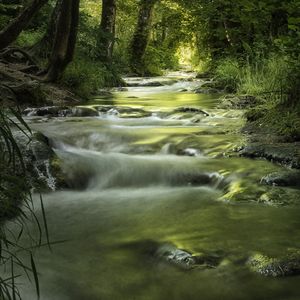 水之梦 (钢琴古筝曲)