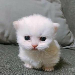 ??? #WESTKHARYXXRADIO (feat. riphoops!)