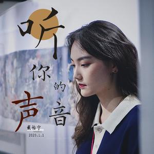 听你的声音