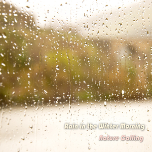 겨울 아침 빗소리