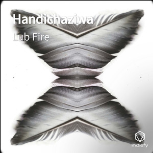 Handichaziwa