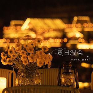 夏日温柔