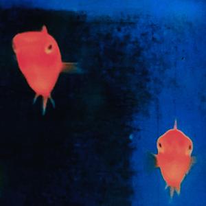 Spass Beiseite (Beat)