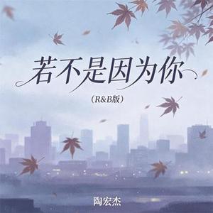 若不是因为你 (R&B版)