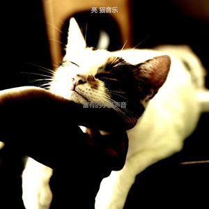 温和放松的猫梦想