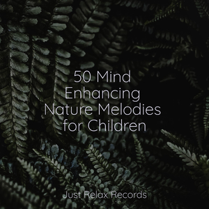 Tranquil Enshrouding Bliss