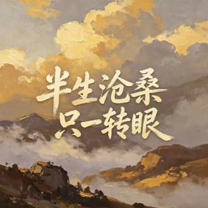 半生沧桑只一转眼