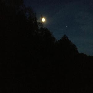 F.W.T.S. (feat. Babylon)