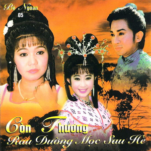 Tâm Sự Mộng Cầm