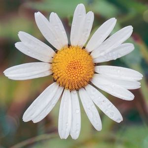 对天空的认真（raise your head）