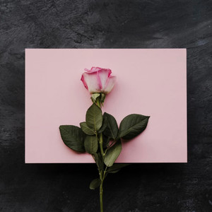 フェイク・アダルト