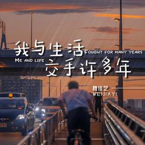 我与生活交手许多年 (DJ版)