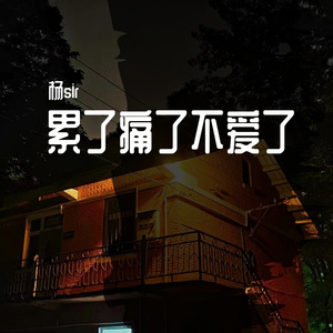 累了痛了不爱了（翻自 音决、秦文音）