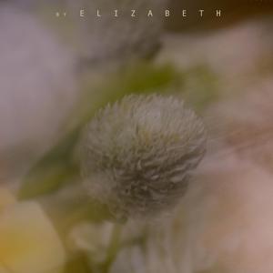 沉湖之姬dead lake