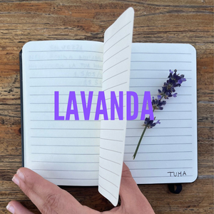 Lavanda
