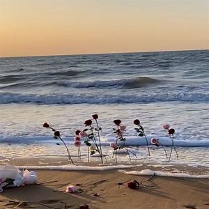 绝地反击作威猛