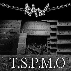 T.S.P.M.O