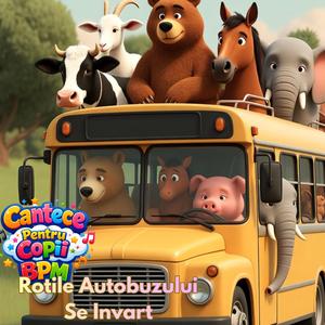 Rotile Autobuzului Se Invart